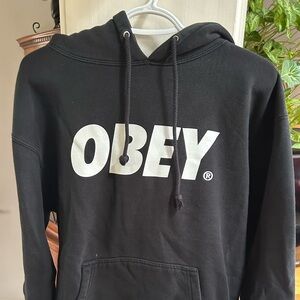 Block Hoodie by Obey